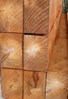 Cedar Timbers from Forest Lumber