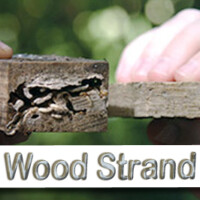 Wood Strand