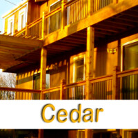 Cedar