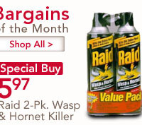 Raid wasp killer 2 pack